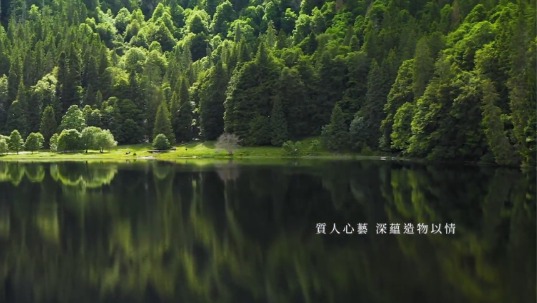 金朋建設